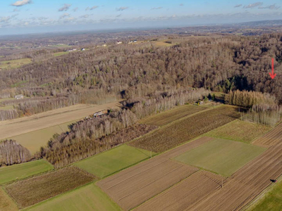 Do sprzedaży działka o pow 31 ar. Zalasowa.