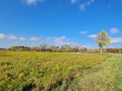 Działka budowlana Dąbrowa Górnicza Błędów, ul. Jesionowa