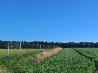 Działka budowlana Gałkówek-Kolonia