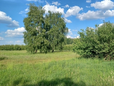 Działka budowlana Wola Krakowiańska, ul. Transportowa