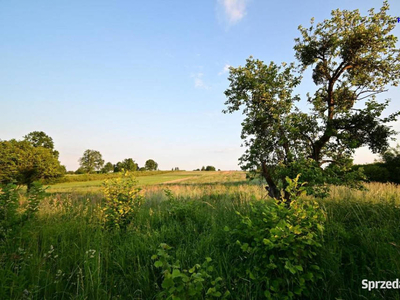 Działka doskonała pod inwestycję - Nałęczów - 14ar