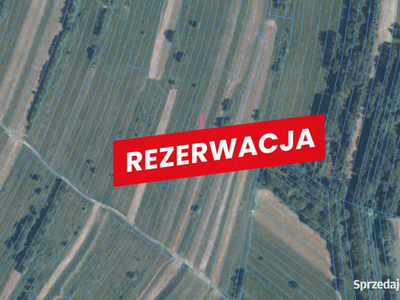 Działka rekreacyjna