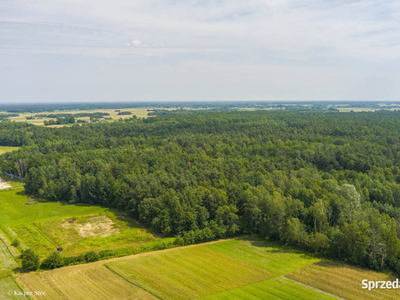 Działka rolna