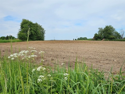 Działka rolna Orzysz