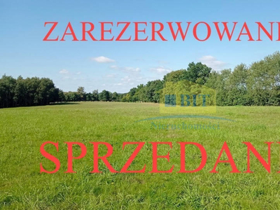 Działka siedliskowa 13.0819 ha - Zajączkówko