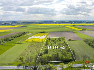 Działka Usługowa 16133 m² przy Trasie Wrocław-Oław