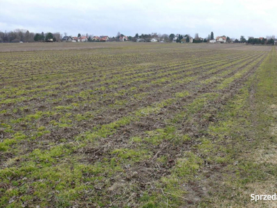 Działka w doskonałej lokalizacji-5 min. od Zalewu