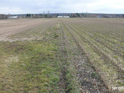 Działka w doskonałej lokalizacji-5 min. od Zalewu