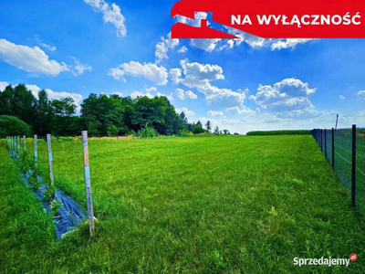 Działka w spokojnej okolicy blisko lasu - 15ar