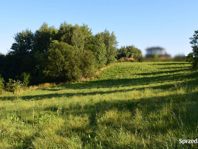 Działki budowlane 47.13a w Tyczynie