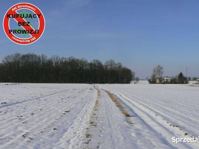 Krężnica Jara 8km od Lublina. 8000m2