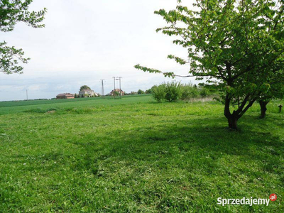 Pawlin gmina Konopnica około 12km od Lublina