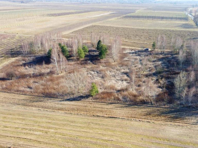 Piękna działka rekreacyjna na zaciszu - Karczmiska