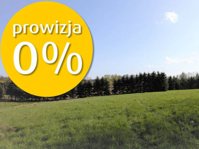 Piękna na peryferiach Tarnowa