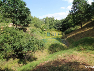 Unikatowe działki nad Jeziorem Komorze