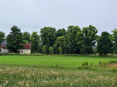 Działka budowlana Szczedrzyk