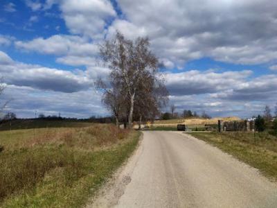 Działka siedliskowa Królowa Wola