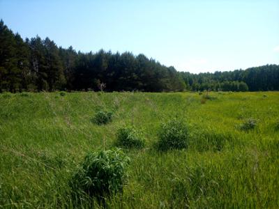 Działka siedliskowa, ul. Historyczna