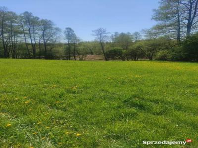 Mazury -Działka nad rzeką Krutyń