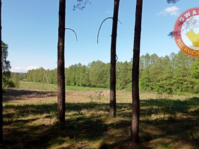 Działka budowlana Cierpice