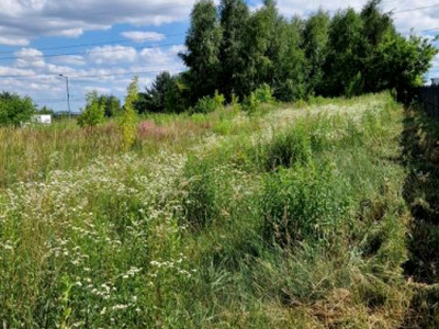 Działka budowlana Dąbie