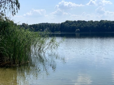 Działka budowlana Drawsko Pomorskie