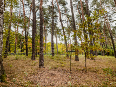 Działka budowlana Konstancin-Jeziorna