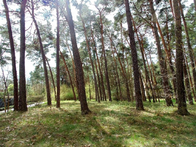 Działka budowlana Konstancin-Jeziorna