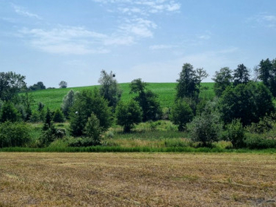 Działka budowlana Lutom