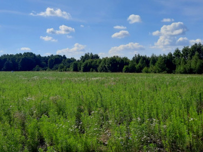 Działka budowlana Pasynki