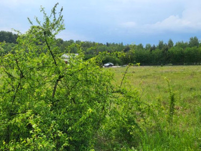 Działka budowlana Rokitno Szlacheckie