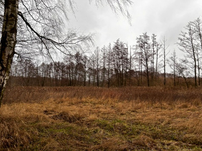 Działka budowlana Rozgarty