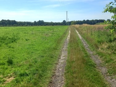 Działka budowlana Rudziniec