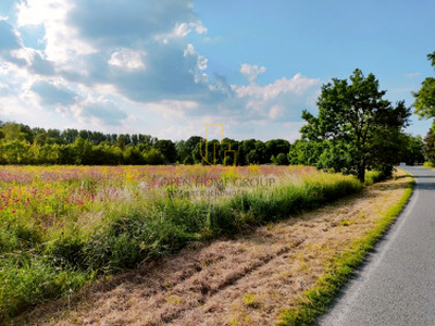 Działka budowlana Sadowice