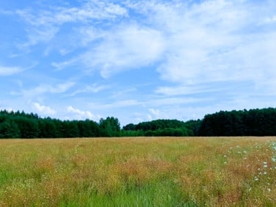 Działka budowlana, ul. Historyczna