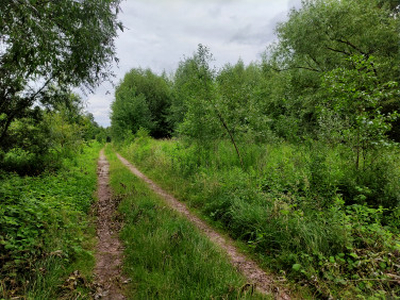 Działka budowlana, ul. Petunii