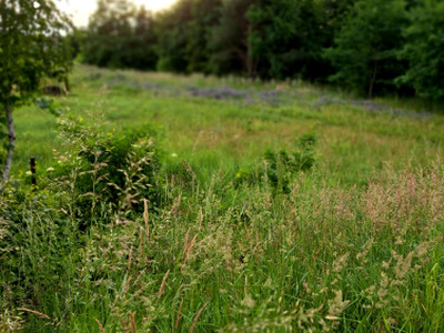 Działka budowlana, ul. Skowronków