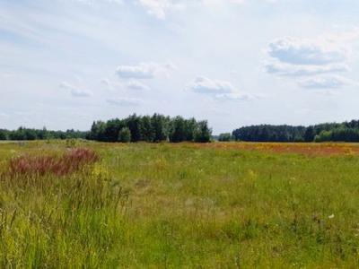 Działka budowlana Pomiechówek