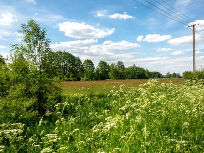 Działka inwestycyjna, ul. Nowa Wieś