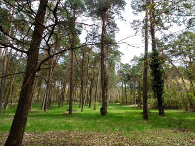 Działka inwestycyjna, ul. Potulickich