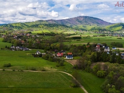 Działka komercyjna Lipowa