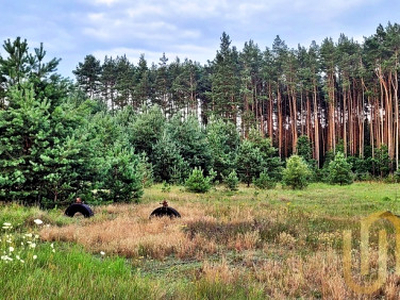 Działka rolno-budowlana Lewickie-Stacja