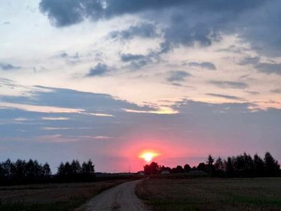 Działka rekreacyjna Marszewska Kolonia