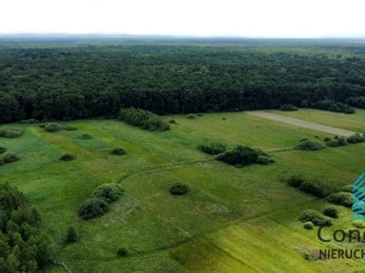 Działka rolna