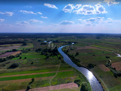 Działka rolna Białobrzegi-Kolonia