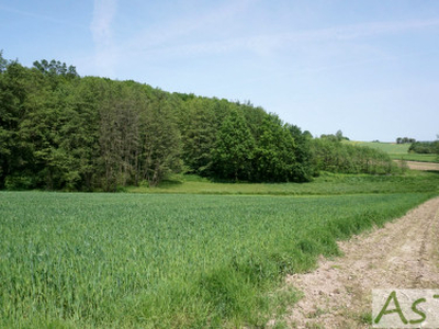 Działka rolna Mników