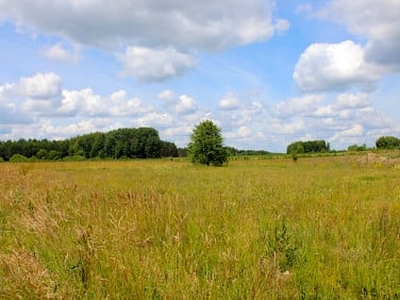 Działka rolna Zabłudów