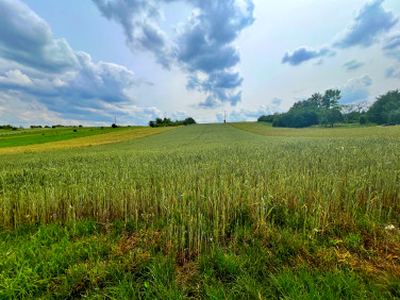 Działka rolno-budowlana Antolka