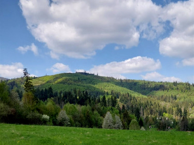 Działka rolno-budowlana Glinka