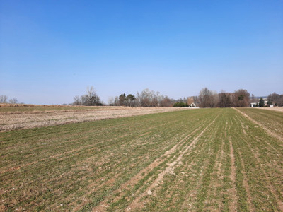 Działka rolno-budowlana Godzianów